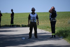 DSC_7310-Large