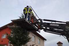 Weihnachtsbaum_2022_3
